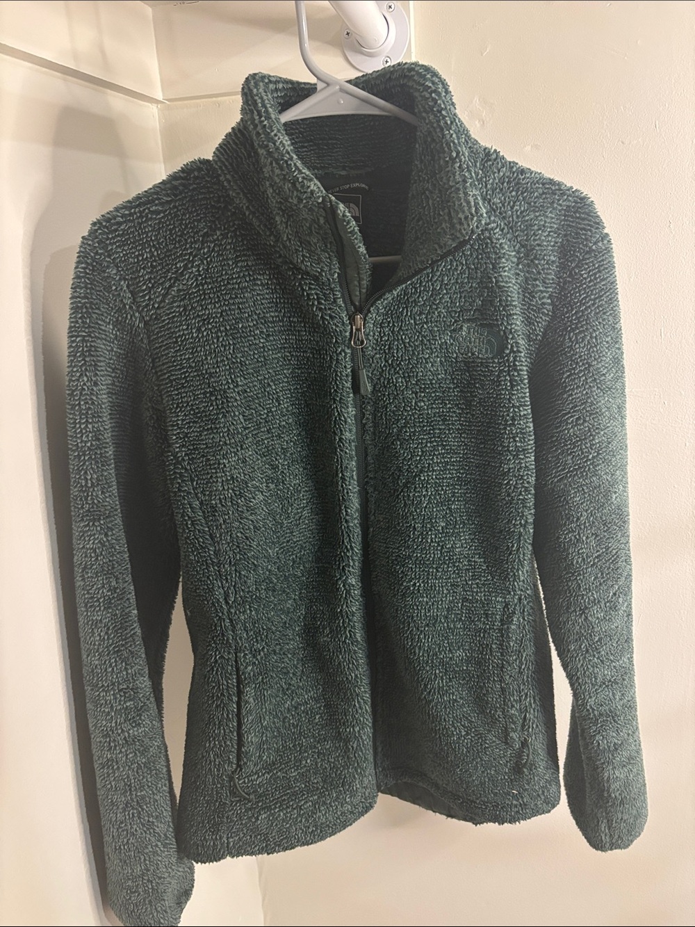 The North Face Women's Forest Green Teddy Fleece Jacket